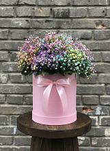Цветочная композиция из Гипсофила и Розы в шляпной коробке в Новой Таволжанке