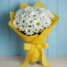 Букет цветов из:  Хризантемы в Новой Таволжанке