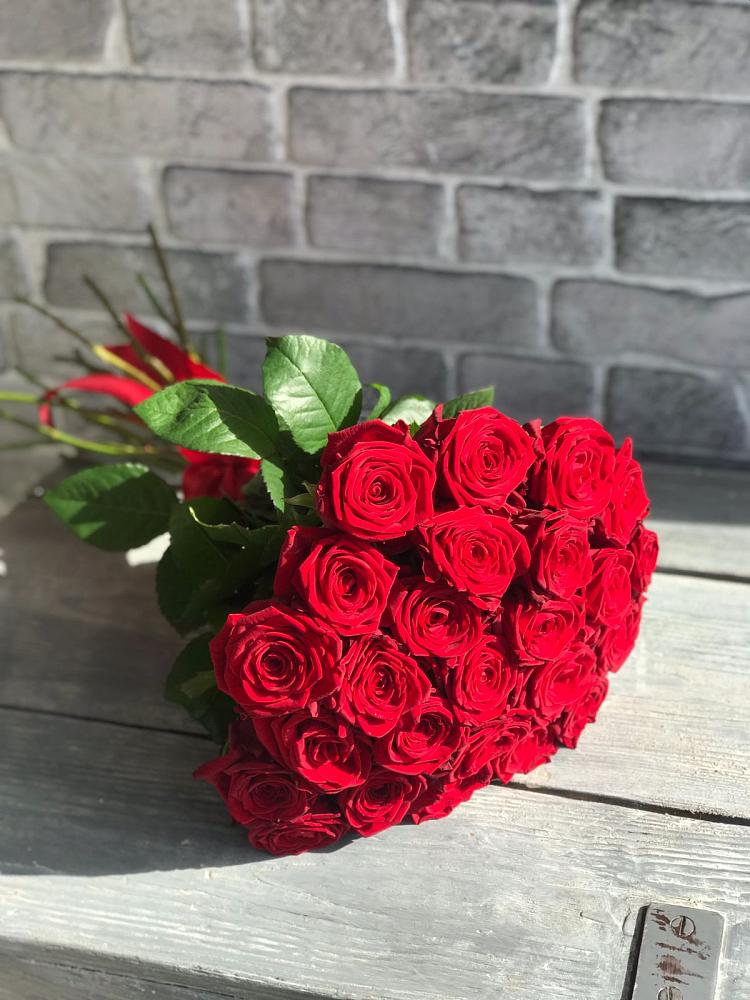 Букет Красные розы Фридом в Новой Таволжанке