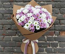 Букет цветов из:  Хризантемы в Новой Таволжанке