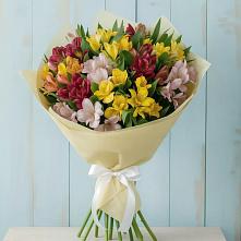 Букет цветов из:  Альстромерии в Новой Таволжанке