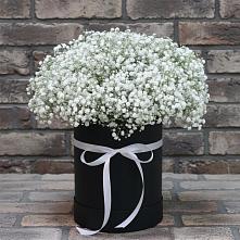 Цветочная композиция из Гипсофила в шляпной коробке в Новой Таволжанке