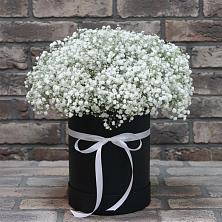 Цветочная композиция из Гипсофила в шляпной коробке в Новой Таволжанке