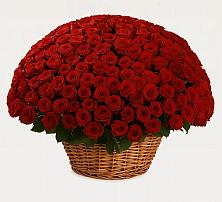 Премиум букет из: Розы в Новой Таволжанке