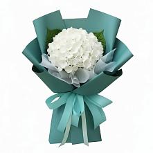 Букет цветов из:  Гортензия в Новой Таволжанке